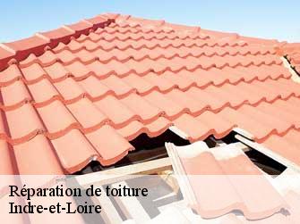 Réparation de toiture Indre-et-Loire 
