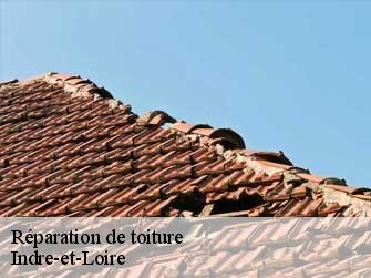Réparation de toiture Indre-et-Loire 