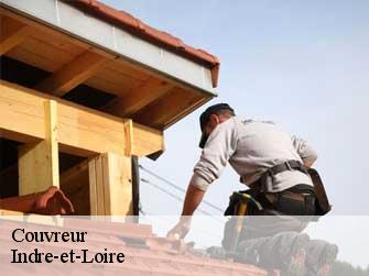 Couvreur Indre-et-Loire