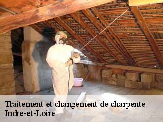 Traitement et changement de charpente Indre-et-Loire 
