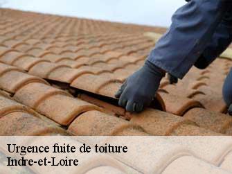 Urgence fuite de toiture