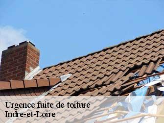 Urgence fuite de toiture Indre-et-Loire 