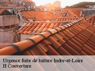 Urgence fuite de toiture Indre-et-Loire 