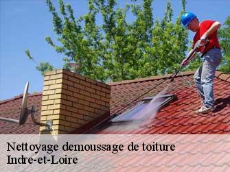 Nettoyage demoussage de toiture