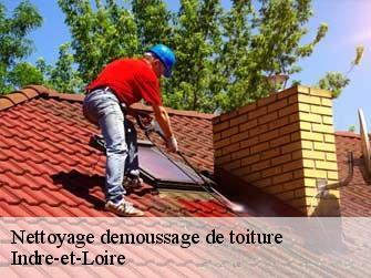 Nettoyage demoussage de toiture Indre-et-Loire 