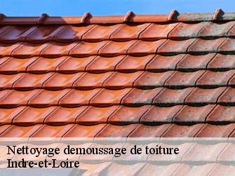 Nettoyage demoussage de toiture Indre-et-Loire 