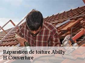 Réparation de toiture  abilly-37160 H Couverture