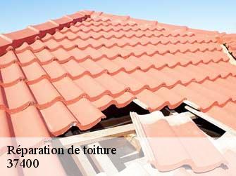 Réparation de toiture  37400