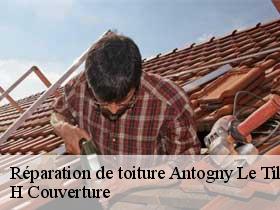 Réparation de toiture  antogny-le-tillac-37800 H Couverture