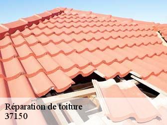 Réparation de toiture 37150