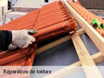 Réparation de toiture 37150