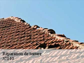 Réparation de toiture 37140
