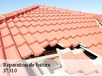Réparation de toiture 37310