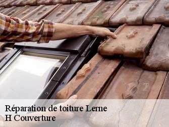Réparation de toiture 37500