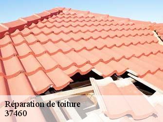 Réparation de toiture 37460