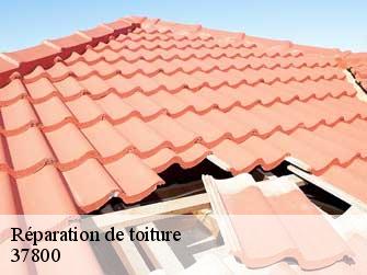 Réparation de toiture 37800