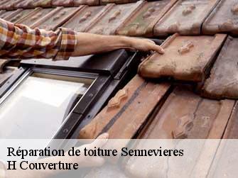 Réparation de toiture 37600