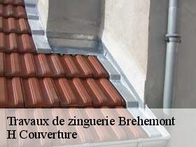 Travaux de zinguerie  brehemont-37130 H Couverture