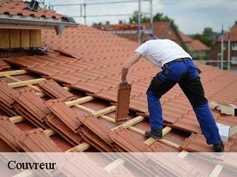 Couvreur 37390