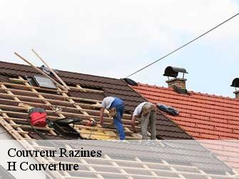 Couvreur 37120