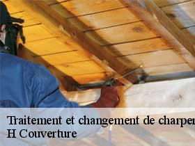 Traitement et changement de charpente  abilly-37160 H Couverture