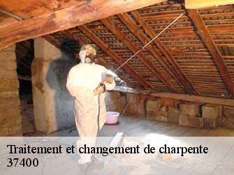 Traitement et changement de charpente  37400