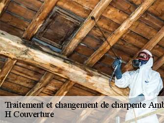 Traitement et changement de charpente  37400