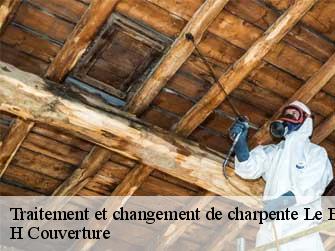 Traitement et changement de charpente  37110