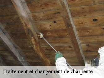 Traitement et changement de charpente