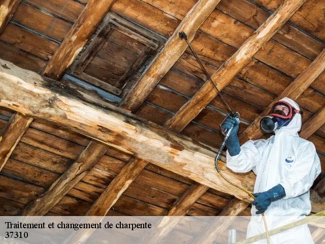Traitement et changement de charpente 37310