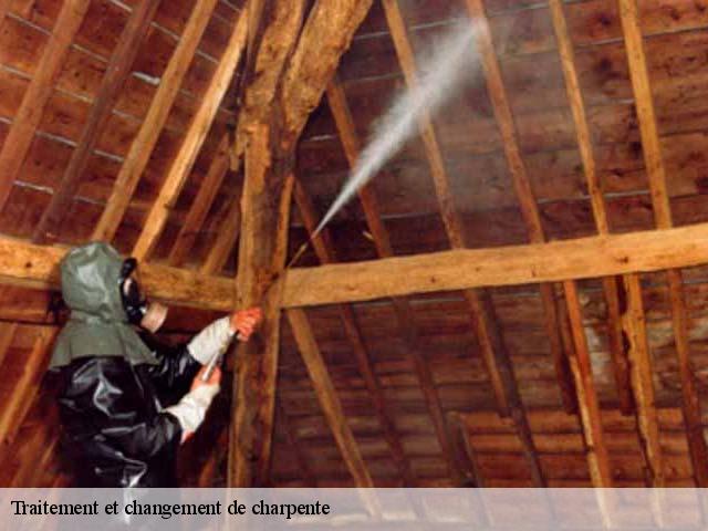 Traitement et changement de charpente 37500