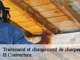 Traitement et changement de charpente saint-benoit-la-foret-37500 H Couverture