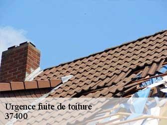 Urgence fuite de toiture  37400