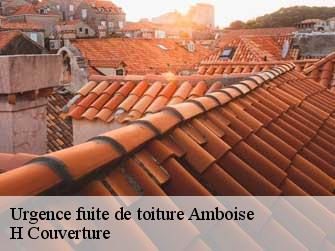 Urgence fuite de toiture 37400