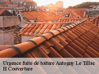 Urgence fuite de toiture 37800