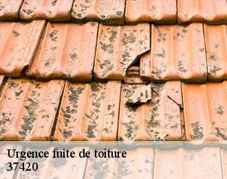 Urgence fuite de toiture  37420