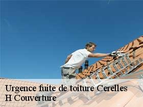 Urgence fuite de toiture  cerelles-37390 H Couverture