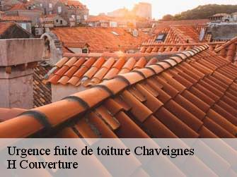 Urgence fuite de toiture 37120
