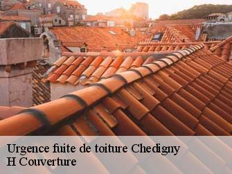 Urgence fuite de toiture 37310