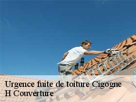 Urgence fuite de toiture  cigogne-37310 H Couverture