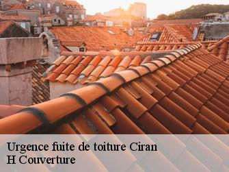 Urgence fuite de toiture 37240