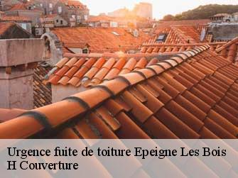 Urgence fuite de toiture  37150