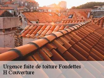 Urgence fuite de toiture  37230