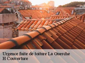 Urgence fuite de toiture  37350