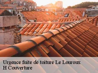 Urgence fuite de toiture  37240