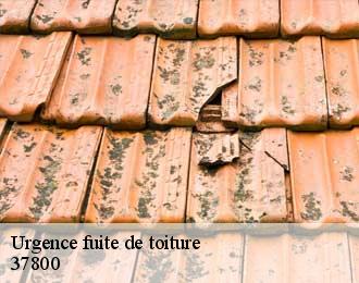 Urgence fuite de toiture 37800