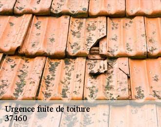 Urgence fuite de toiture 37460