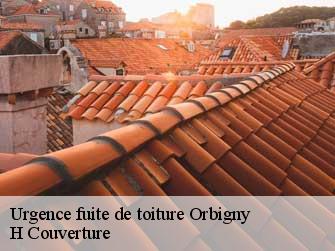 Urgence fuite de toiture 37460