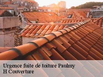 Urgence fuite de toiture 37350
