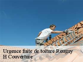 Urgence fuite de toiture reugny-37380 H Couverture